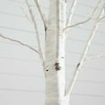 thumbnail image 2 of Nearly Natural 7ft. Pre-Lit Artificial White Birch Tree with 400 Warm White LED Lights, 2 of 11