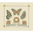 thumbnail image 2 of Maurice Pillard Verneuil 23x20 Gold Ornate Framed and Double Matted Museum Art Print Titled - Abstract Design Based on Butterflies and Leaves (1900), 2 of 4