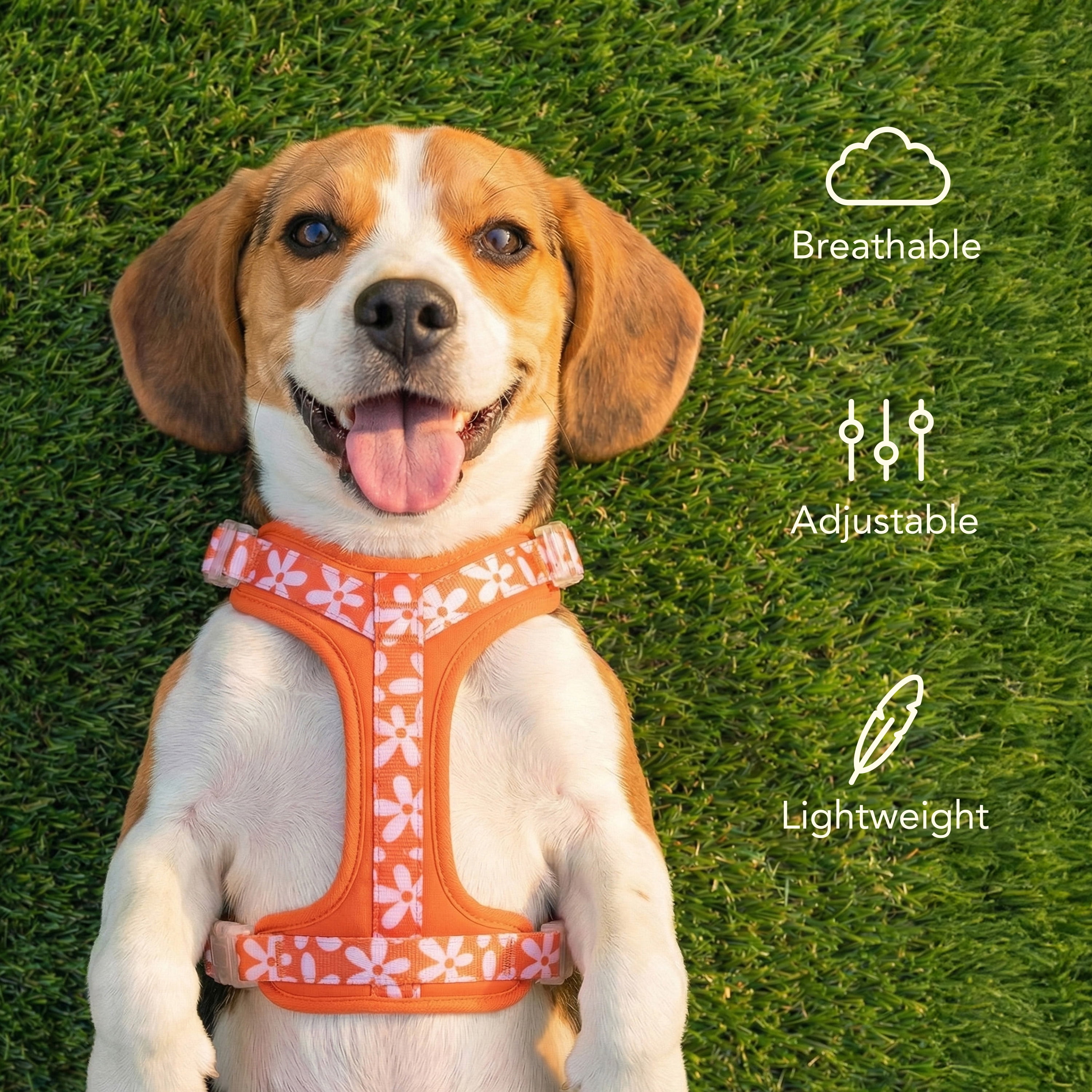 Oodles Wild Blooms Adjustable Mesh Dog Walking Harness, Red, Large