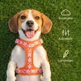thumbnail image 5 of Oodles Wild Blooms Adjustable Mesh Dog Walking Harness, Red, Small, 5 of 11