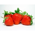 thumbnail image 2 of Strawberry Wall Decal by Wallmonkeys Peel and Stick Graphic (36 in W x 27 in H) WM144138, 2 of 4