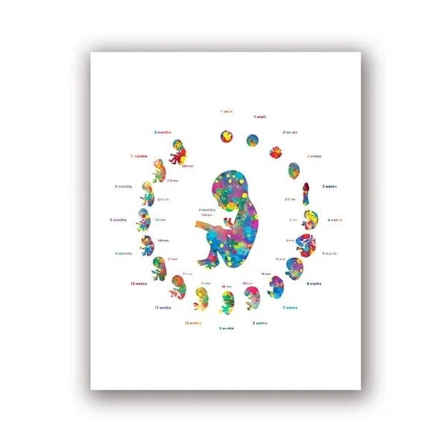 Arte de mujer embarazada, pintura de diamantes 5D, mosaico de diamantes, punto de cruz, Doctor, regalo de obstetricia, arte de acuarela de desarrollo de Embryo