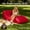 Red: 61*38*25 inches, variant on Portable Inflatable Air Lounger Sofa, Wide Comfort Camping Lazy Couch Mattress, Foldable Inflatable Bed for Beach Picnic Hiking Travel Indoor & Outdoor Home Use