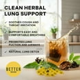 thumbnail image 5 of Betterbrand Mullein Tea Bags for Lung Detox - Respiratory Support with Thyme, Elderberry, Ginseng, Ginger, Caffeine Free Herbal Blend - 15 Tea Bags (Pack of 1 ), 5 of 9
