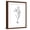 Brown Frame, variant on Art.com Botanical Sketch I Art Print by Ethan Harper, 12" x 16"
