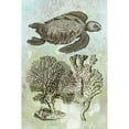 thumbnail image 3 of Vision Studio 13x18 Black Modern Framed Museum Art Print Titled - Underwater Sea Turtle I, 3 of 5