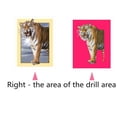 thumbnail image 3 of Animal Resina 5D DIY Diamante Pintura Bordado Punto de Cruz Imagen Decoración de la pared del hogar - L2014 Eigraketly JJ13343-10, 3 of 6