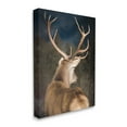 thumbnail image 4 of Stupell Industries Rustic Dark Deer Portrait Animals & Insects Painting Gallery Wrapped Canvas Art Print Wall Art, 30 x 40, 4 of 8