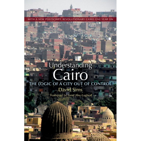 Understanding Cairo: The Logic of a City Out of Control, (Paperback)
