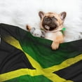 thumbnail image 2 of Jamaican-Flag Dog Blanket Soft Warm Flannel Cat Blanket Great Pet Throw for Cats Puppy Small Medium Large Dog, 2 of 7