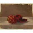 thumbnail image 2 of Anonymous 24x20 Gold Ornate Framed and Double Matted Museum Art Print Titled - The Pitajaya Fruit, Columbia (1853), 2 of 4