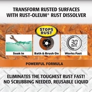 Rust-Oleum Rust Dissolver Gel Spray-300112, 32 oz
