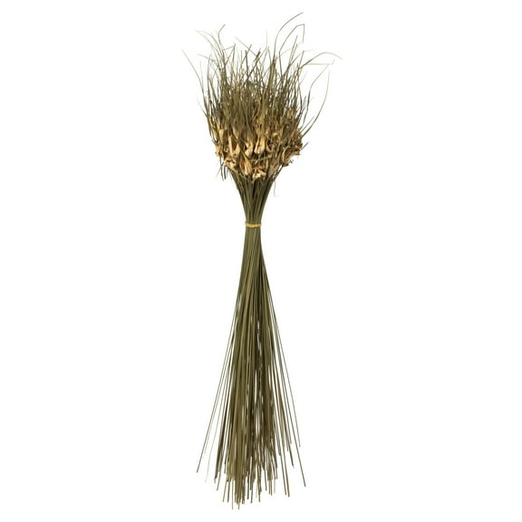 Vickerman 26" Natural Tulip Star, 16oz (4 -4oz Bundles), Dried