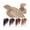 Ash Blonde+Bleach Blond, variant on 10-20 inch Hair Toppers for Women Clip In Indian Hair Extensions 8.5*8.5cm Silky Straight Human Hair Toppers with Bangs for Women with Thinning Hair
