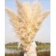 thumbnail image 1 of Pampas Grass 46 pulgadas 10 tallos Pampas Grass decoración neutra boho Pampas Grass para jarrón de piso boda arreglo floral pared mesa granja, 1 of 8