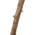 thumbnail image 4 of Paw Toy, Safe Bird Wood Toy,  Stand Holder Durable Natural Parrots For Pets Animals Birds, 4 of 8