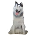 thumbnail image 1 of Lindo juguete de peluche Animal relleno perro durmiendo almohada linda figura juguetes suave para Husky siberiano Zulema Juguetes de peluche, 1 of 7
