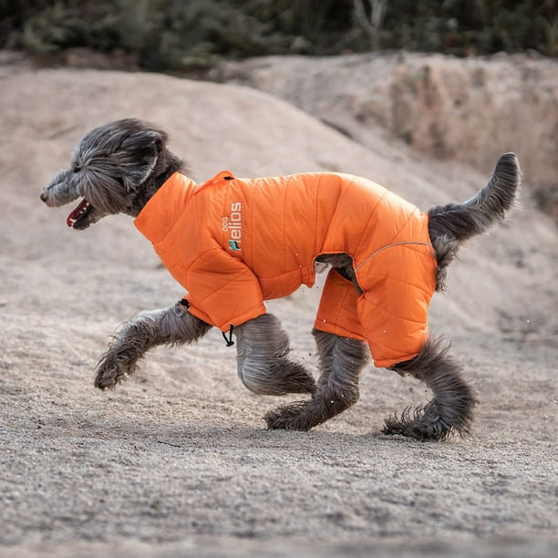 DOGHELIOS 'Thunder-Crackle' Full-Body Bodied Waded-Plush Adjustable and 3M  Reflective Pet Dog Jacket Coat w/ Blackshark Technology, Large, Grenadine 