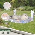 thumbnail image 4 of Hamaca Plegable para Gatos HiPetpy con Brillo en la Oscuridad para Ventana, 4 of 7
