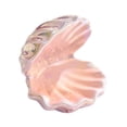 thumbnail image 2 of Plato de cerámica para joyería, soporte para joyas, regalo para mujer, cuenco para llaves con forma de concha, estuche para joyas Rosa, 2 of 9