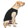 thumbnail image 3 of Spring and summer puppy vest Teddy puppy vest puppy clothes pet clothes (2pcs), 3 of 5