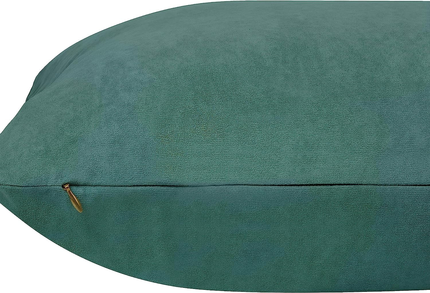 Delara Velvet Decorative Throw Pillow Cover, 20x20 inch, Pack of 1, Soft Breathable Cushion Cover with Hidden Zipper, Mint Green