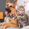 thumbnail image 4 of Halloween Translucent Light Chiffon Yarn Pet Collars, Pack of Two - Breathable and Stylish - Sizes 40.6x40.6x58in and 53.3x53.3x76.2in, 4 of 5