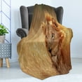 thumbnail image 4 of Wildlife Soft Flannel Fleece Blanket, Big Male Lion Leo Laying Resting in Dense Grass Field Dangerous Carnivore Predator, Cozy Plush for Indoor and Outdoor Use, 50" x 70", Multicolor, by Ambesonne, 4 of 5