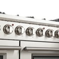 thumbnail image 3 of Forno Capriasca 48 in 6.58 cu ft Double Oven Gas Range in Stainless Steel, 3 of 8