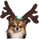 thumbnail image 4 of Perro Navidad Reno Antlers Reno Antlers Diadema Classic Elk Hat Headwear Disfraces para mascotas Accesorios ER, 4 of 5