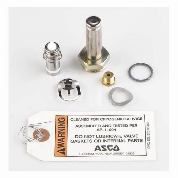 Asco Rebuild Kit 304062