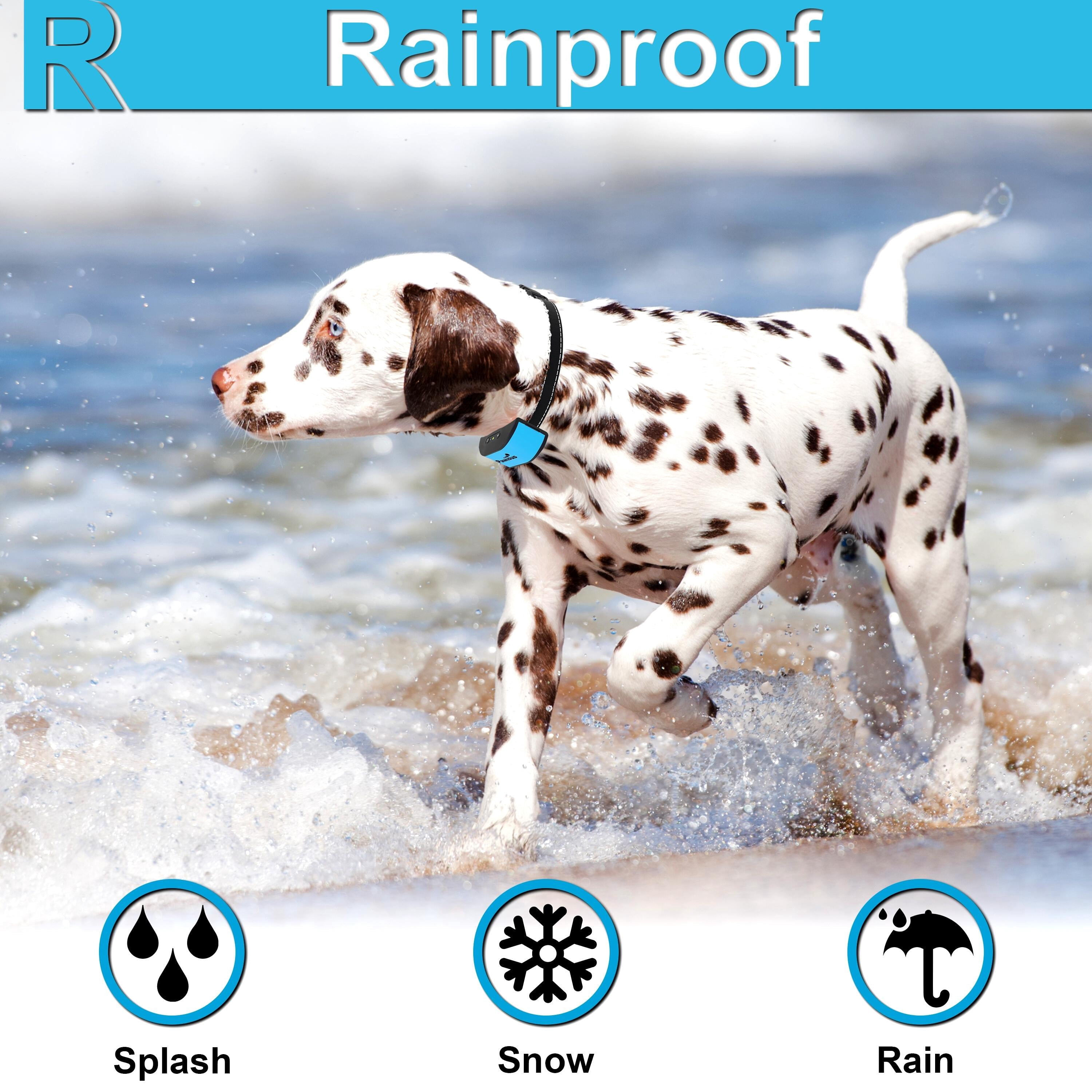 Pawious Small Dog Bark Collar - Humane Training, Rechargeable, Rainproof, Vibration - for Small and Medium Dogs