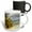Multicolor, variant on 3drose, Usvi, St.thomas, St. John Bay, Sapphire Beach-ca37 Cmi0054 - Cindy Miller Hopkins, 11oz Magic Transforming Mug