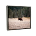 thumbnail image 3 of Stupell Bison Grazing Rural Country Landscape Animals & Insects Photography Gray Floater Framed Art Print Wall Art, 3 of 6