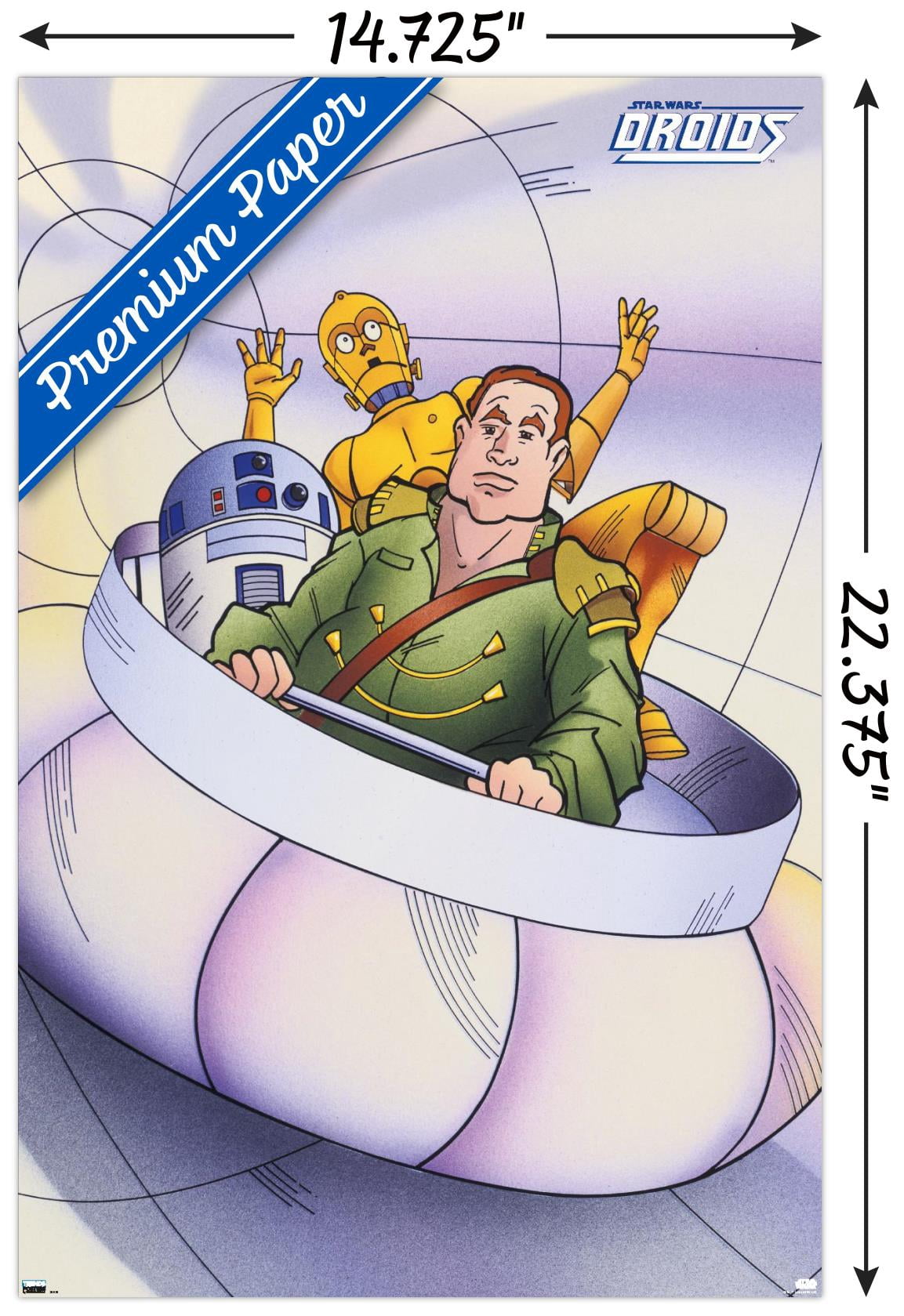 Star Wars: Droids - Tube Wall Poster, 14.725" x 22.375"