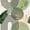 Green Gold, variant on Castle Fairy Boho Tropical Leaf Twin Bedding Sets 7-Piece for Kids, Geometric Print Bedding Comforter Set for Bedroom, Green Pink