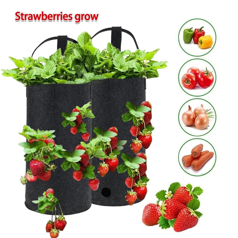smart plant grow bolsas