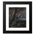 thumbnail image 2 of Francis Barlow 12x14 Black Modern Framed Museum Art Print Titled - Jay, Green Woodpecker, Pigeons, and Redstart Landscape with a Green Woodpecker, a Jay, Two Pigeons, a Redstart, a Lizard an, 2 of 5