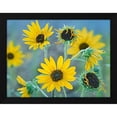 thumbnail image 2 of Tim Fitzharris 14x12 Black Modern Wood Framed Wall Art Titled - Priarie Sunflowers I, 2 of 6