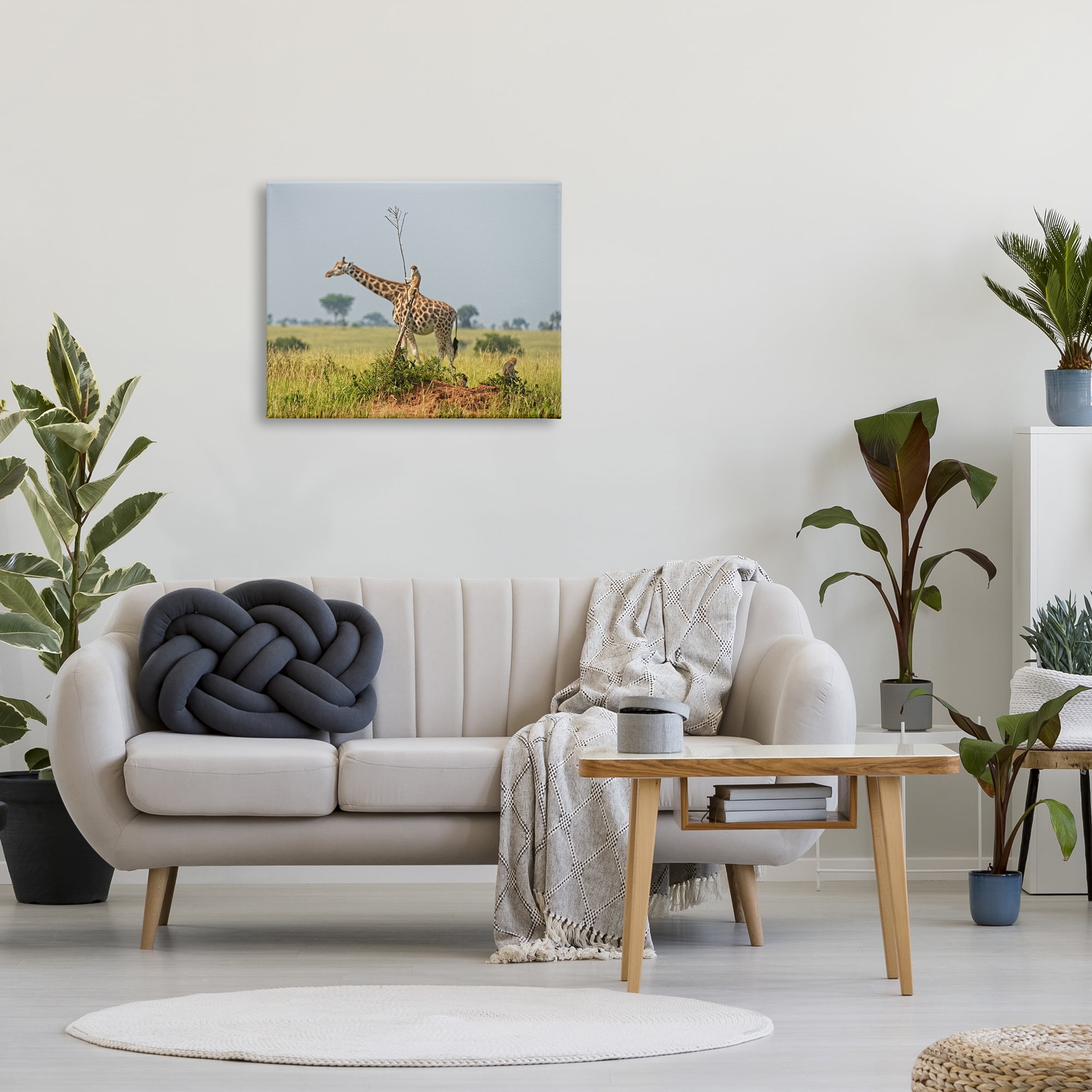 Stupell Industries Monkey Riding Giraffe Animals & Insects Photography Gallery Wrapped Canvas Art Print Wall Art, 30 x 24
