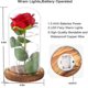 thumbnail image 5 of Rosa De Cristal,el Mejor Regalo Para Mamá,Rosa Roja Con Luz Rosa Encantada En Cúpula De Vidrio (hy), 5 of 5