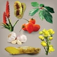 thumbnail image 2 of Dr. Schulze’s Intestinal Formula #1 Promotes Regular & Complete Bowel Movements,Improved Elimination, Better Digestion,Herbal Dietary Supplements - 90 Capsules, 2 of 6