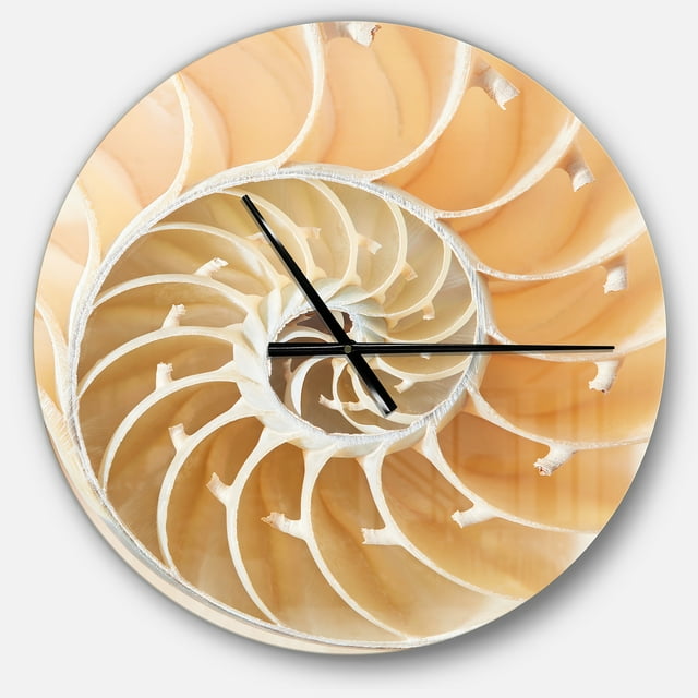 DesignArt Horloge Murale Grande Motif Coquillage Nautilus Marron