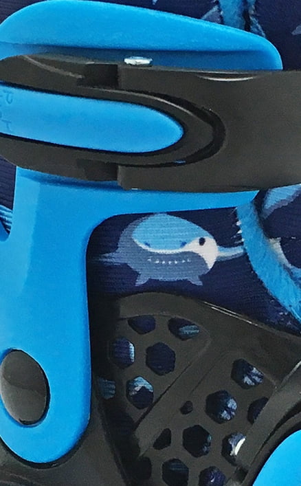 Blue Shark