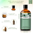thumbnail image 3 of PHATOIL Cajeput Aromatherapy Oils for Diffuser, Humidifier - 100ML, 3 of 8