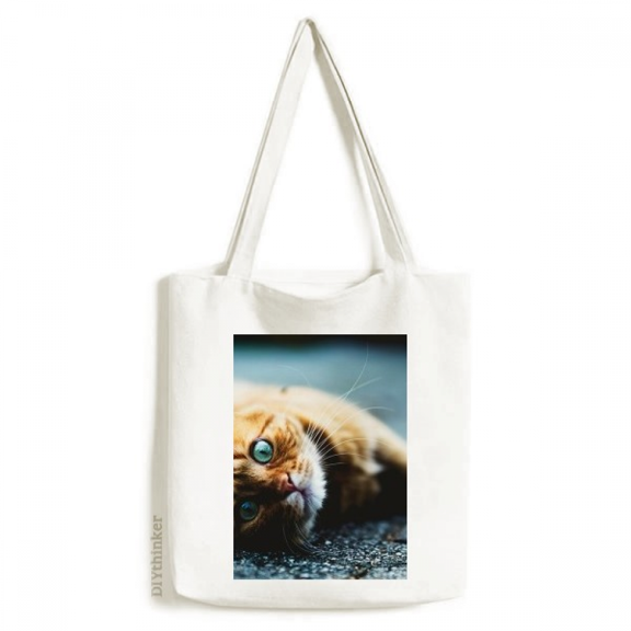 Animal Pure Blue Eye Cat Photograph Tote Canvas Bag Shopping Satchel Casual Handbag