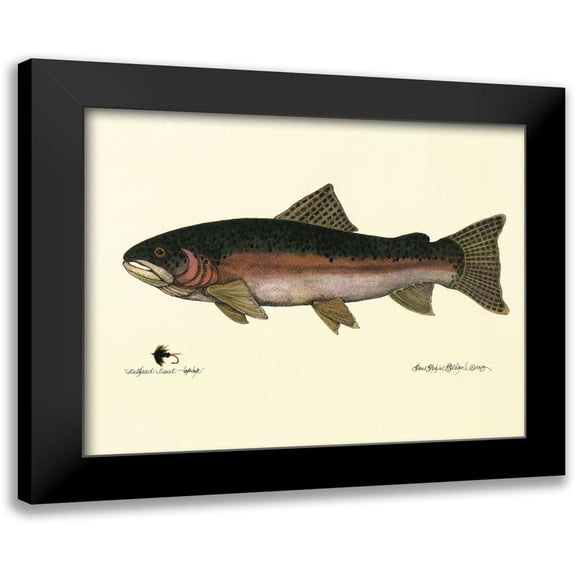 Unknown 14x12 Black Modern Framed Museum Art Print Titled - Steelhead Trout