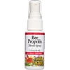 Natural Factors Bee Propolis Throat Spray, Helps Soothe a Sore Throat and Support Energy Levels, 1 Oz