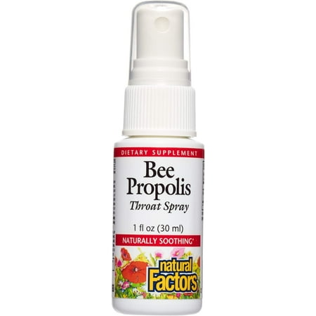 Natural Factors Bee Propolis Throat Spray, Helps Soothe a Sore Throat and Support Energy Levels, 1 Oz