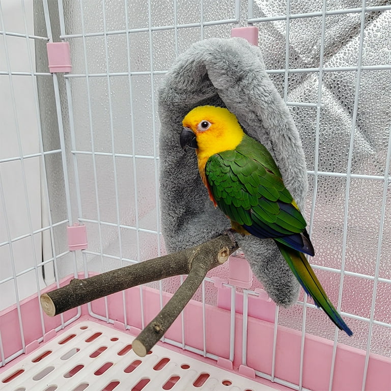 Conure plush sale